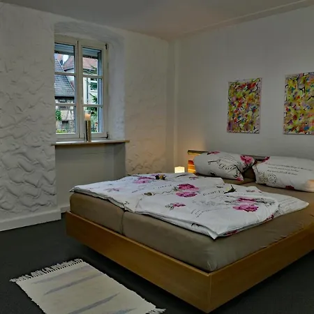 Rhoen An Der Romantischen Stadtmauer Von Apartment *